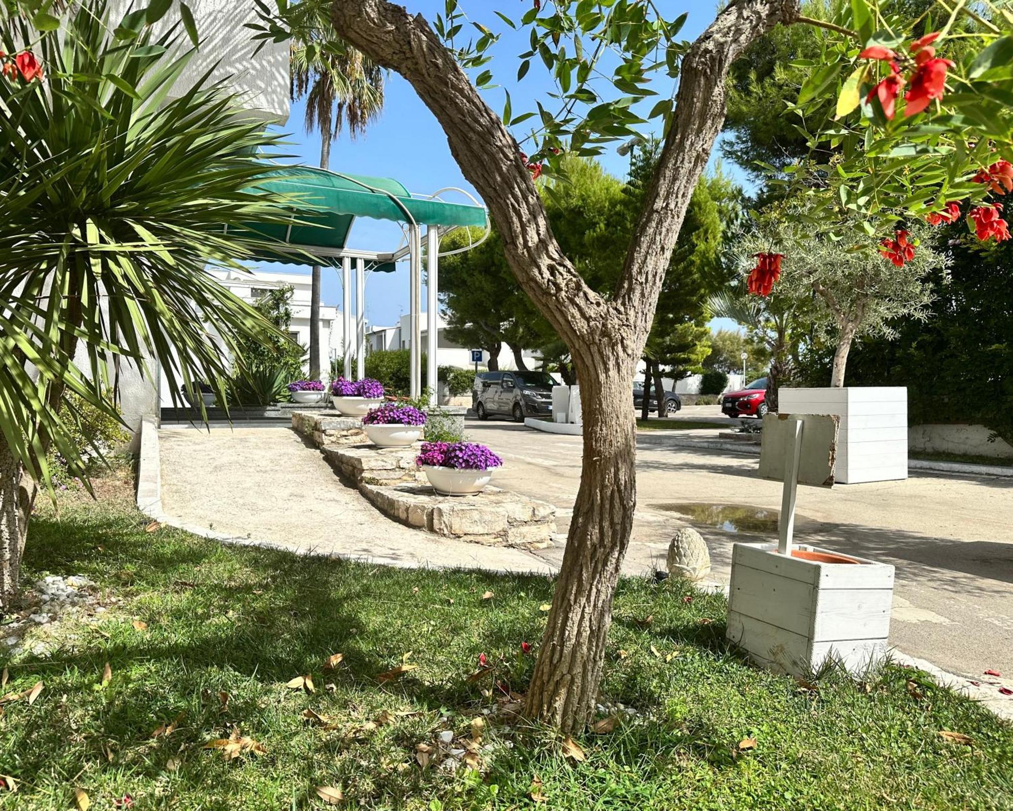 Hotel Riva Del Sole Giovinazzo Exteriér fotografie